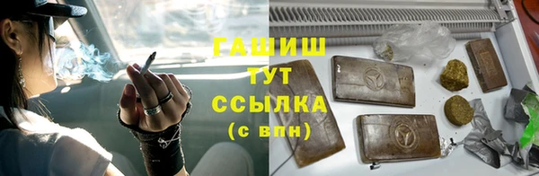 индика Гусев