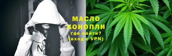 индика Гусев