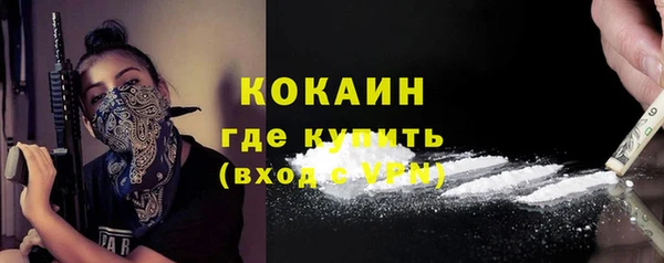 индика Гусев