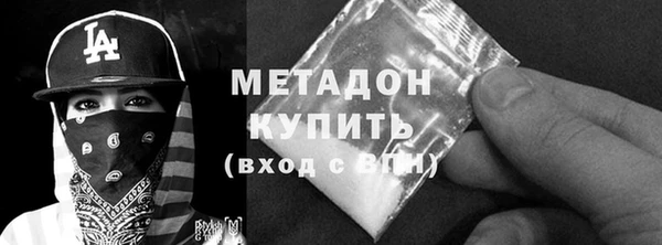 индика Гусев