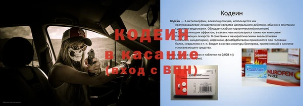 PSILOCYBIN Дмитриев