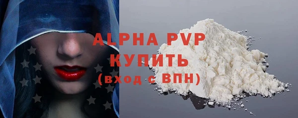индика Гусев
