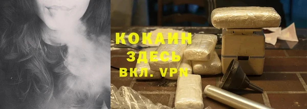 индика Гусев