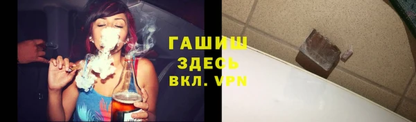 индика Гусев