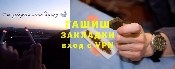 индика Гусев