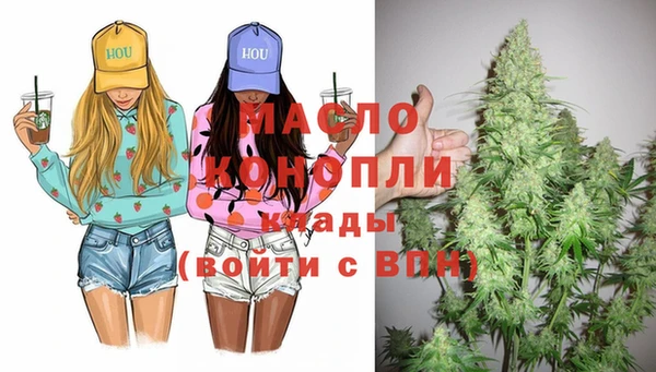 индика Гусев