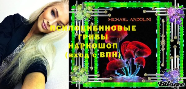 индика Гусев