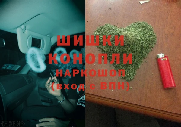 индика Гусев