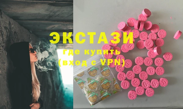 индика Гусев