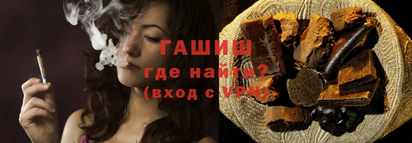 индика Гусев