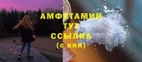 индика Гусев