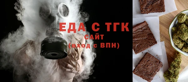 индика Гусев