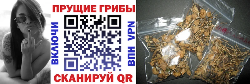 Псилоцибиновые грибы прущие грибы  МЕГА как войти  Меленки  как найти закладки 